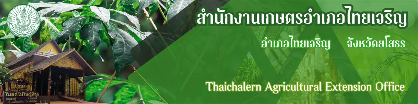 สำนักงานเกษตรอำเภอไทยเจริญ จังหวัดยโสธร
