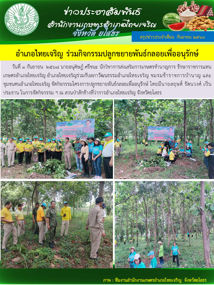 ร่วมกิจกรรมปลูกยายพันธุ์กลอยเพื่ออนุรักษ์