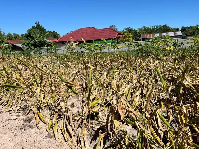 KVunBvWg8dY5shYBWMQiocg0mW11xZpiJ64zByHo0LDBoiUnRFkutP