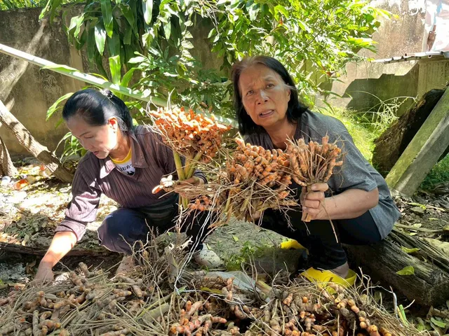 KVunBvWg8dY5shYBWMTlgsDC2ZjejN9pBLHM85liUT6wWrpXihKRWl