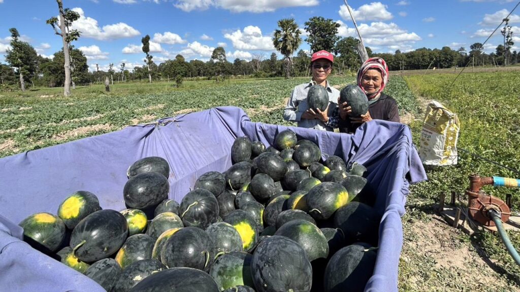 qtyhJRjCJrY6TpFYHwVoUBm9qR13EUPOHZUgLxg1c1aD8zHn5Hl2fWt